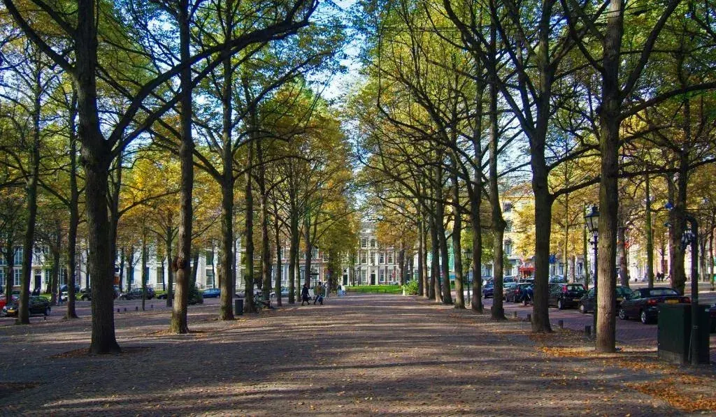 The tree-lined Lange Voorhout avenue in The Hague, the city’s grandest street